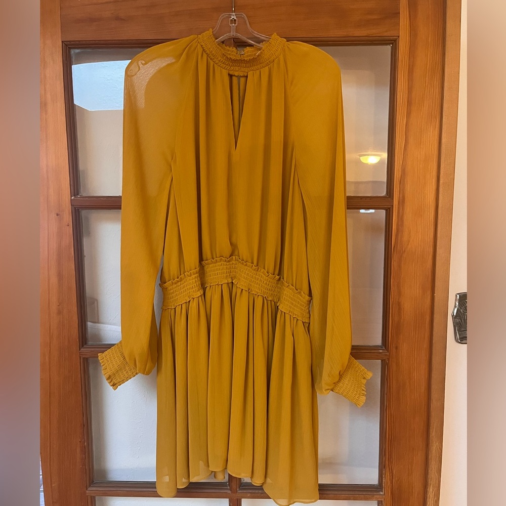 Gauzy, goldenrod dress